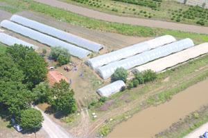 Çarşamba Ovası nda Hasar Tespit Çalışmaları Devam Ediyor