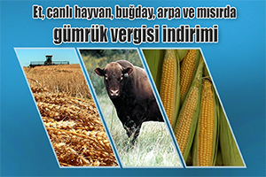 Bayraktar Gümrük Vergisi İndiriminin Üreticiyi Etkilememesi Mümkün Değil