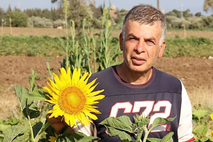 İlk Yerel Tohum Hasadı Yapıldı