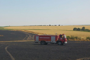 İtfaiyenin Erken Müdahalesi ile Buğday Tarlası Kurtarıldı