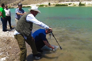Sürdürülebilir Yaşam İçin Bırakılan Balıklar