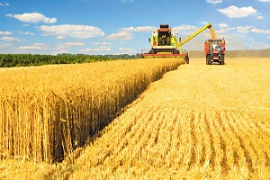 TMO nun Güçlenmesi İçin Hazine Yeterli Olmalı