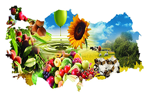 544 milyar Dolarlık Tarımsal Ürünün Anavatanı Türkiye