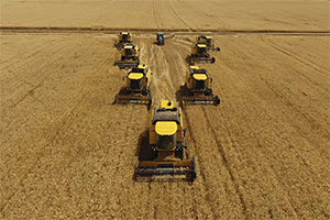 Tarımın Lokomotifi Buğday