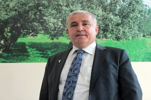 Zeytinyağı İhracatı Geçen Yıla Göre Yüzde 400 Artış Gösterdi