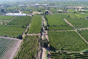 MASKİ Gökkaya nın Taşkın Derdine Son Verdi