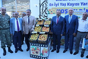 KMÜ Ekmeklik Buğday Üretecek