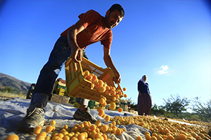 Mevsimlik İşçi Taşıma Kuralları Açıklandı