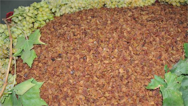 Kuru Üzüm Çuval İpliğine Kurban Edilmesin