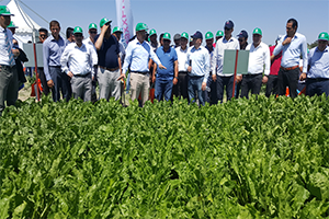 1 Demonstrasyon Günü Etkinliği Gerçekleştirildi