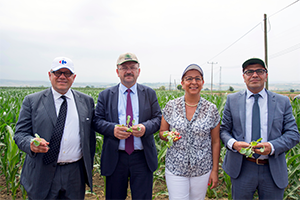 Yerli Tohum Taze Mahsul ile Ürün Fiyatları İndiriliyor