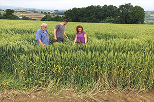 Yem Bitkisi Tohum Desteği İle Verimde Artış