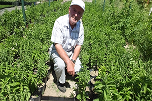 20 30 Fide Başladığı Üretimde Şimdi Üretim Merkezi Oldu