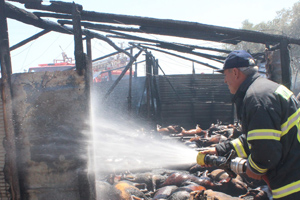 550 e Yakın Hayvan Telef Oldu