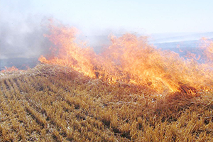 Başkan Sümer den Anızlar İçin Uyarı