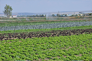 Yeni Bakan dan Üreticiler Yardım İstedi