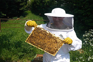 Arıcılıkta Yeni Destekleme Modeli