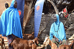 TİKA Nijer de 876 Keçi Dağıttı