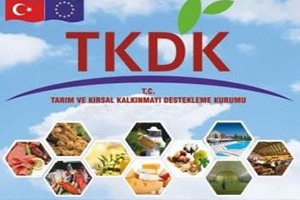 TKDK Sınavı İle 200 Personel Alınacak