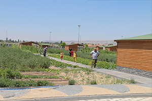 Organik Hizmet Büyükşehir Belediyesi nden