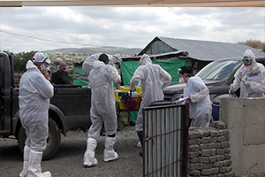 Kuş Gribi Tehlikesi Yine Gündemde