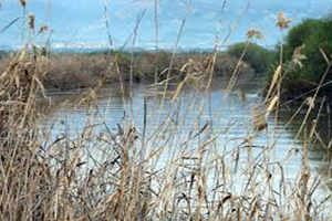 Menderes Susuz Kalabilir