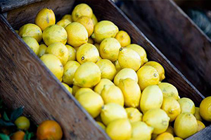 ATB den Beyrut a Ticaret Köprüsü Kuruluyor