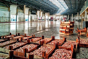 Bakan Tüfenkci Balık ve Meyve Artık Aynı Halde