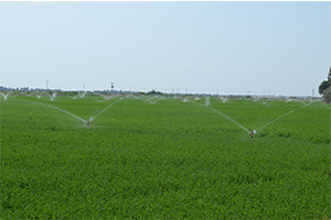 Modern Sulama Yöntemleri Tarlada İncelendi