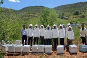Afrikalı Arıcılar Arıcılığın Püf Noktalarını Ordu da Öğreniyor