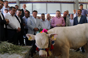 Organik Tarım ve Hayvancılık Festivali Yapıldı