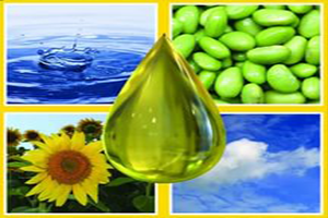 Biyodizel de Yeni Hammadde