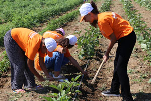 Eğlenek Üretiyorum Kampı Başladı