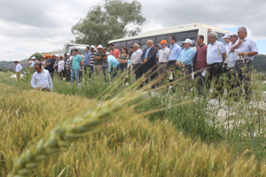 Geleneksel Tarla Günü Gerçekleştirildi