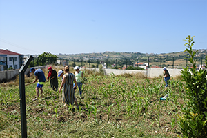 Engelli Çocuklar İçin Tarımsal Çalışma Başlatıldı