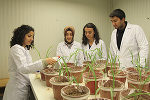 SDÜ Ziraat Fakültesi nden Bir İlk