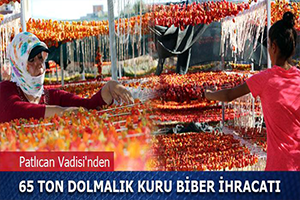 Patlıcan Vadisi den 65 Ton Dolmalık Kuru Biber İhracatı