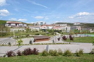 Düzce de Tarımsal Atıklardan Kimyasal ve Kompozit Madde Elde Edilecek