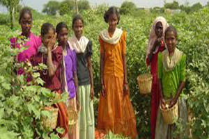 Hindistan da Tarım İşçilerinden Topraklar Yerli ve İşçilere Dağıtılsın Protestosu