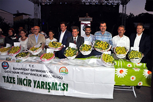 Buharkent tin Dünyaca Ünlü Taze İnciri Festivalle Tanıtıldı