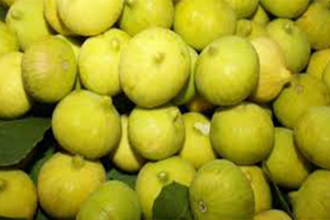 Türk İnciri Hava Kargoyla Uçtu