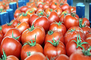 Rusya Görüşmeler Yakında Başlayacak