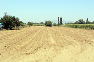 Menderes te Susuzluk Tehlikesi