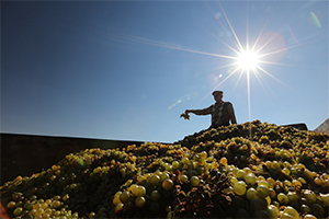 Tzob Enflasyonun Sorumlusu Olarak Çiftçinin Görülmesinden Vazgeçilsin