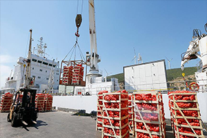 Gıda Yüklü İkinci Gemi Katar a Bayram Öncesi Ulaşacak