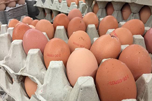 Böcek İlaçlı Yumurtalara Güney Kore de de Rastlandı