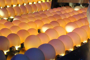 Almanya da Onlardan 28 1 Milyon Satılmış