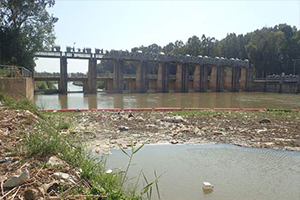 Uzmanlar Büyük Menderes Nehri ndeki Tehlikeye Dikkat Çektiler