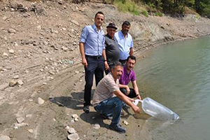 Simav da Göletlere 27 Bin Yavru Balık Bırakıldı