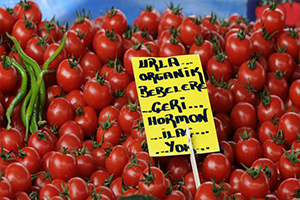 Yaş Meyve Sebzede Yüzde 30 luk Fire İçin Yeni Önlemler